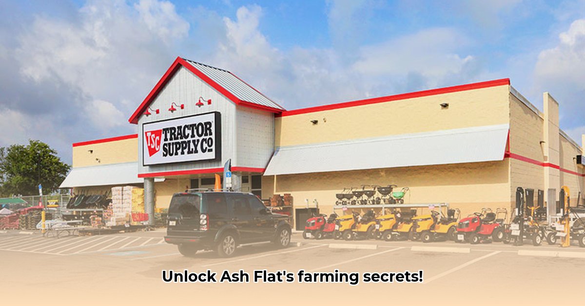 tractor-supply-ash-flat
